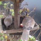 photo 2019-12-06 12-31-44