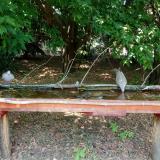 photo 2021-07-05 13-03-29