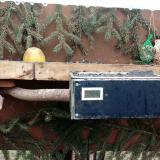 photo 2021-02-10 10-37-09