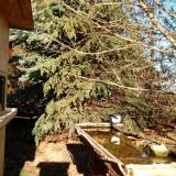 photo 2021-12-13 13-10-45