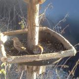 photo 2019-12-30 14-29-07