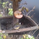 photo 2019-12-05 13-11-36