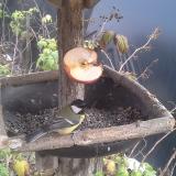 photo 2019-12-05 13-47-21