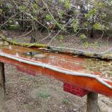 photo 2021-04-06 10-16-16