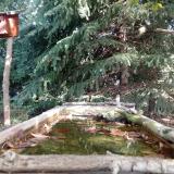 photo 2023-10-07 10-40-58