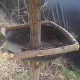 photo 2019-03-16 11-48-55