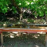 photo 2021-05-10 12-25-33