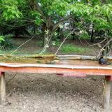 photo 2021-05-01 10-02-12