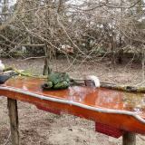 photo 2021-03-23 08-07-52