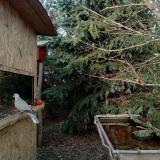 photo 2022-01-02 14-16-08