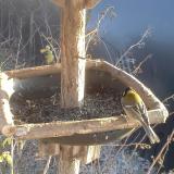 photo 2019-12-30 14-18-52