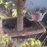 photo 2019-12-14 11-29-16