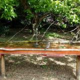 photo 2021-05-06 10-55-05