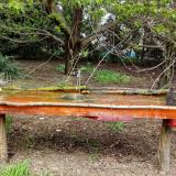 photo 2021-04-19 12-49-31