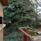 photo 2021-11-18 14-33-10