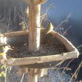 photo 2019-12-30 14-20-18