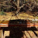 photo 2021-10-24 12-06-48