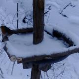 photo 2019-01-05 15-27-07