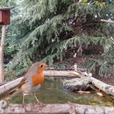 photo 2023-10-13 17-22-50