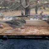 photo 2021-11-10 12-27-44