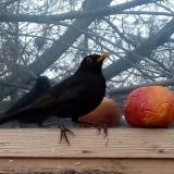 photo 2022-01-20 15-23-03 rigo