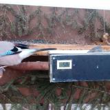 photo 2021-03-08 06-15-07