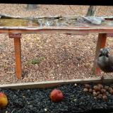 photo 2021-11-03 12-44-08