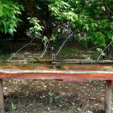 photo 2021-05-15 09-25-40