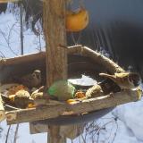 photo 2019-01-27 09-52-46