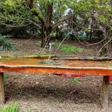 photo 2021-04-19 12-59-20