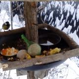 photo 2019-01-22 08-07-21