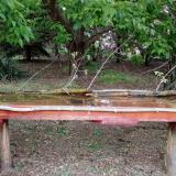 photo 2021-05-06 19-17-47