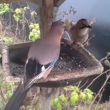 photo 2019-12-12 12-59-58