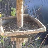 photo 2019-12-18 13-39-39