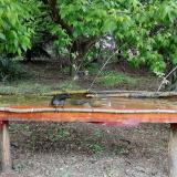 photo 2021-05-07 11-50-28