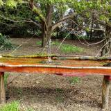 photo 2021-04-20 09-27-03