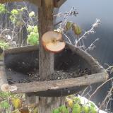 photo 2019-12-04 13-28-18