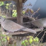 photo 2019-12-12 10-34-34