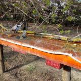 photo 2021-04-08 16-29-44