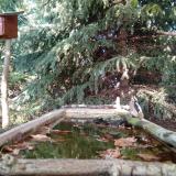 photo 2023-10-06 15-42-46