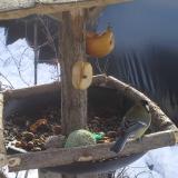 photo 2019-01-29 10-56-12