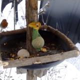 photo 2019-01-20 12-29-43