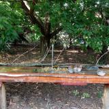 photo 2021-09-07 15-01-41