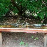 photo 2021-07-24 14-43-54