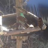 photo 2019-02-12 10-28-39