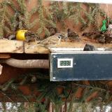 photo 2021-02-14 12-40-09