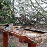 photo 2022-03-31 08-31-25