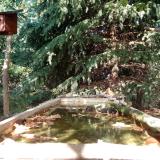 photo 2023-10-04 14-00-50