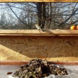 photo 2022-01-19 12-27-29