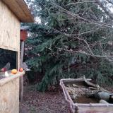 photo 2021-12-20 07-30-27